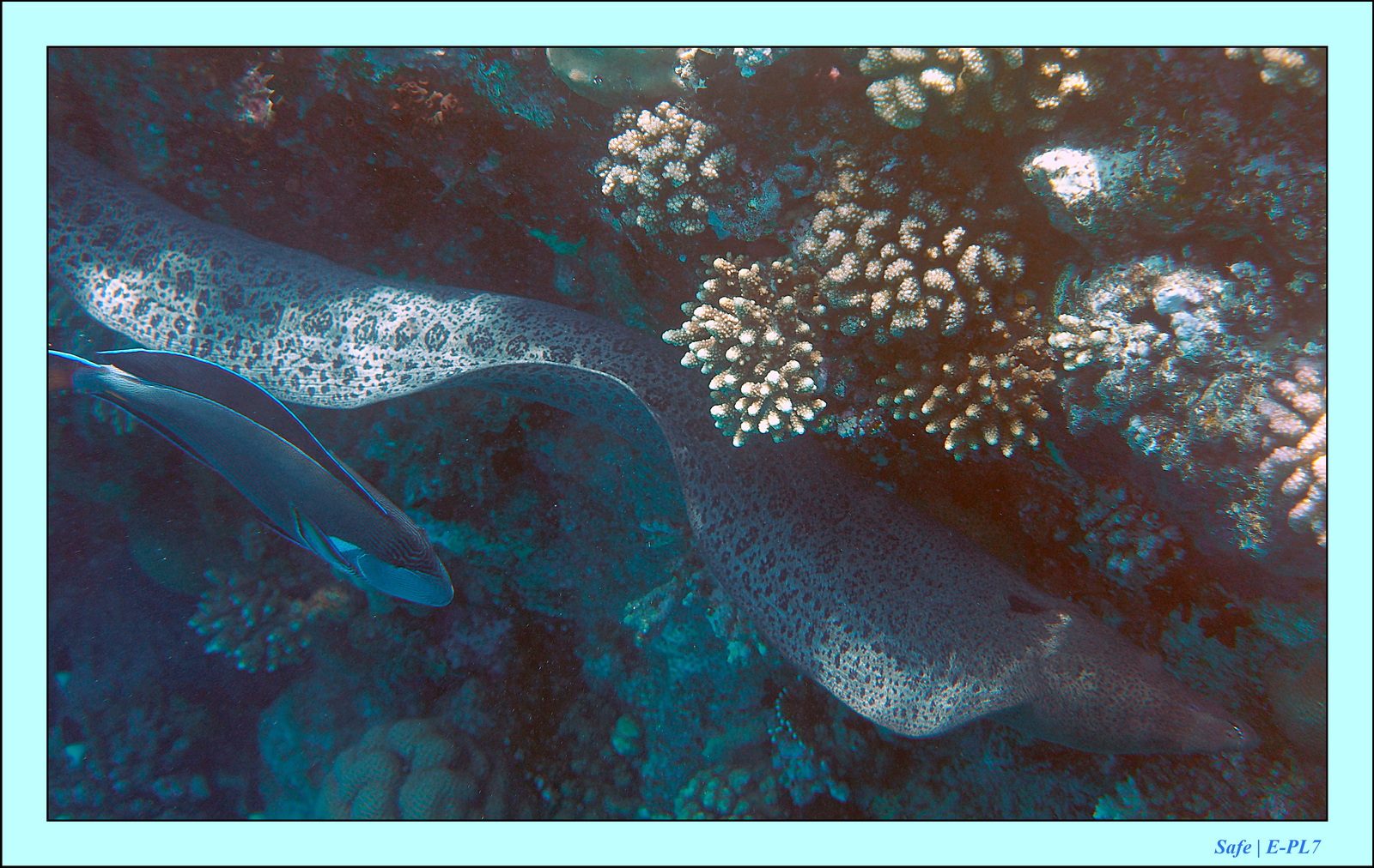 Hurghada - Aout 2021 - 011